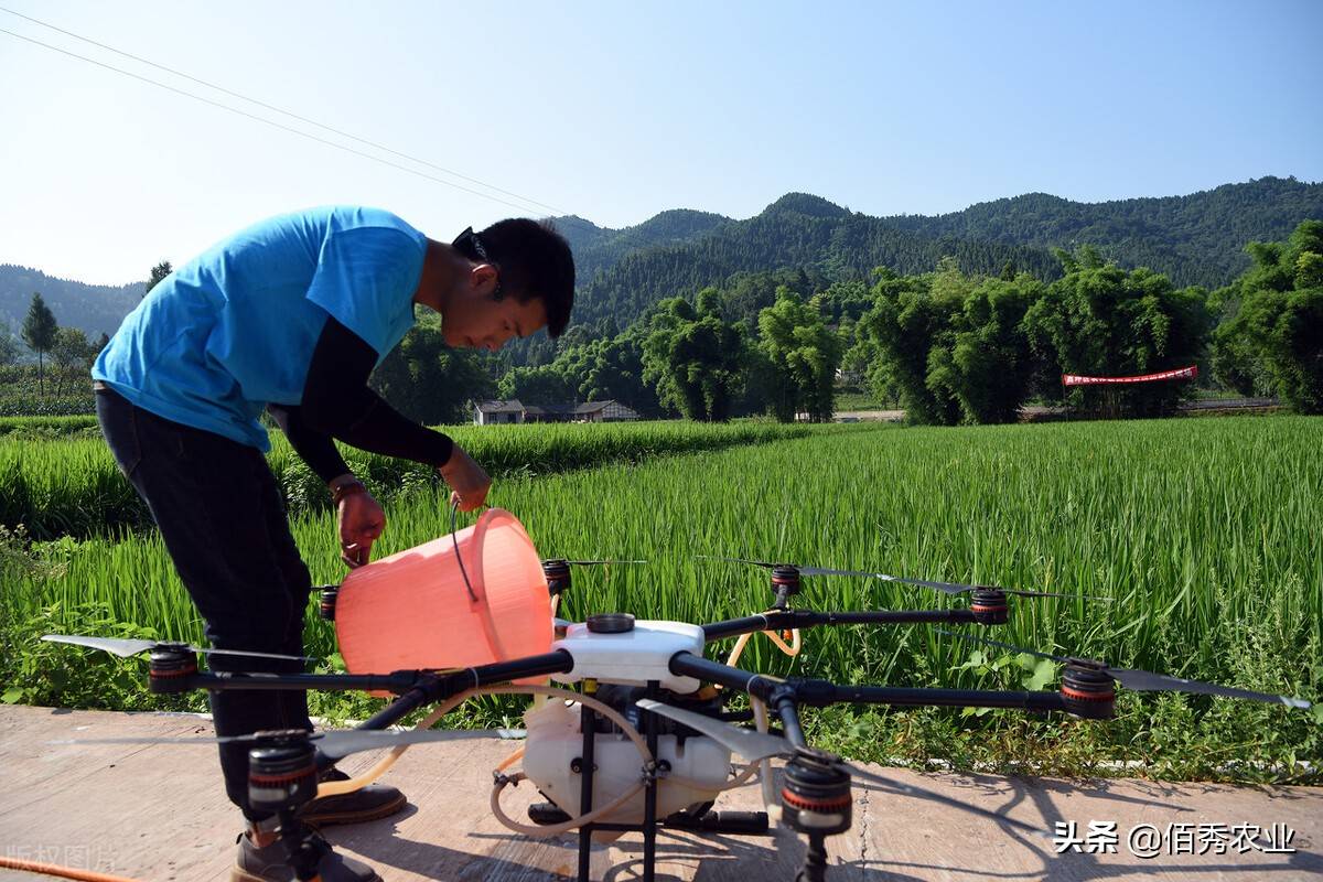 豪横：江西种植大户发年终奖，480万摆在桌上，上百位种植户收益