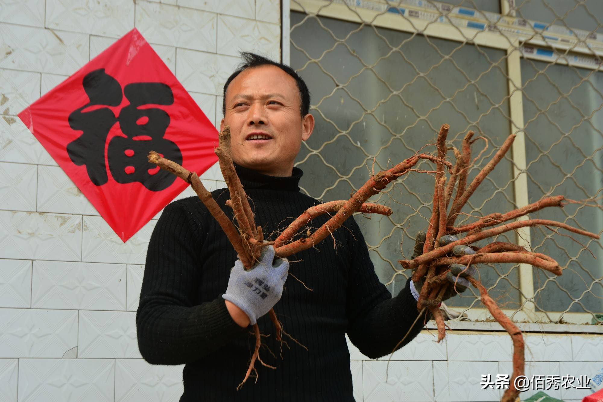 外国学者看中国三农：农民收入喜人，粮食安全有保障，幸福值提升