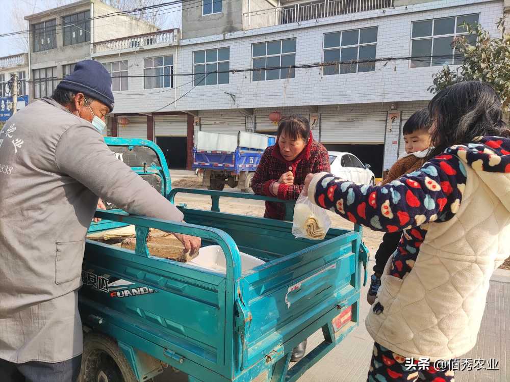 为啥豆腐不好吃了？农村老人用近50年坚守，只为传统味道不丢失