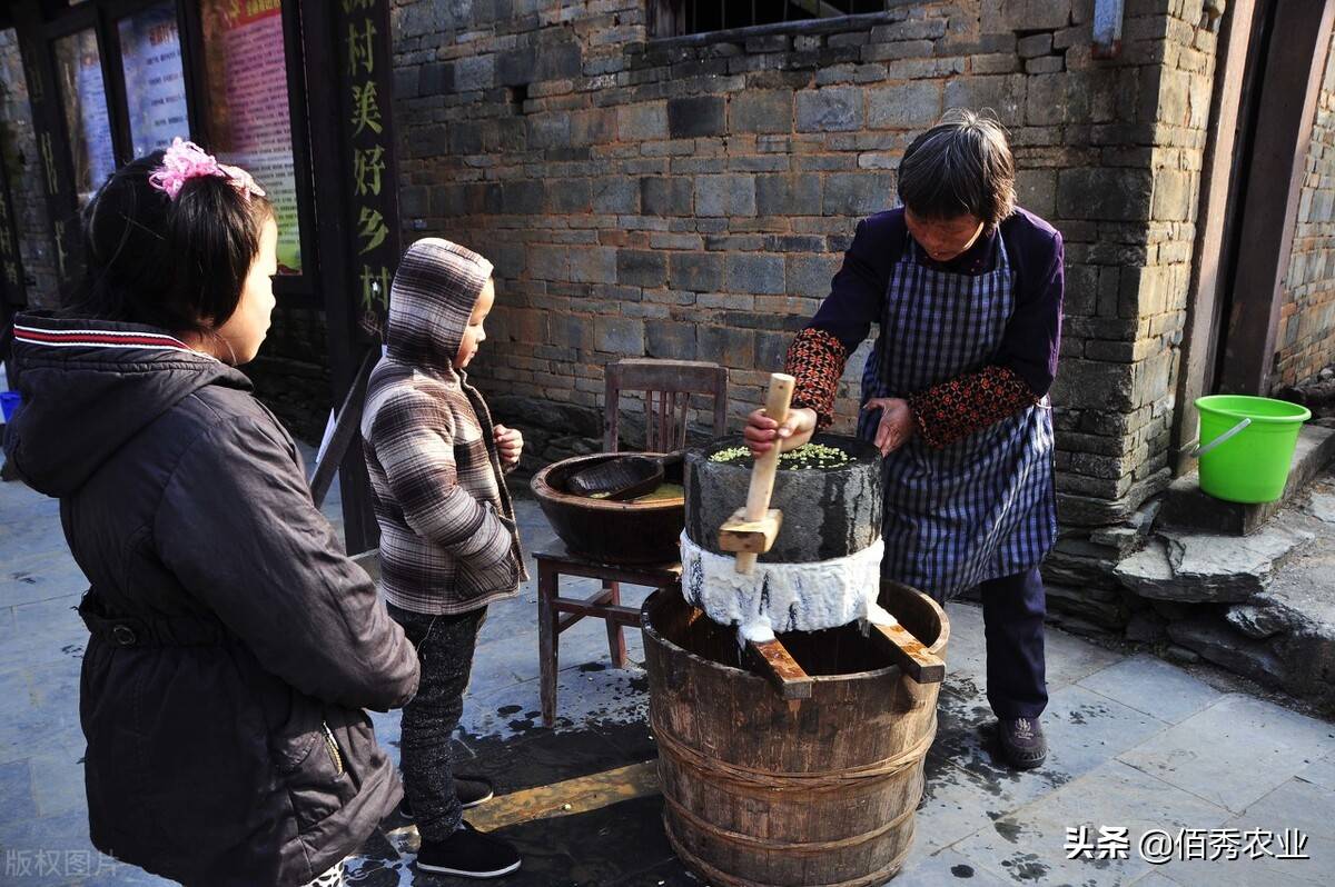 为啥豆腐不好吃了？农村老人用近50年坚守，只为传统味道不丢失