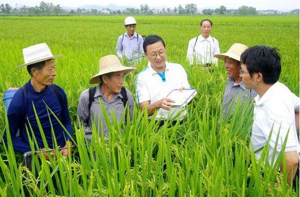 高级研究员相当于什么级别(研究员算什么级别)