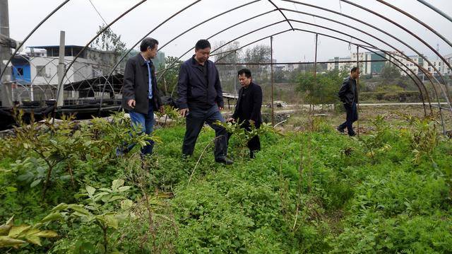 高级研究员相当于什么级别(研究员算什么级别)