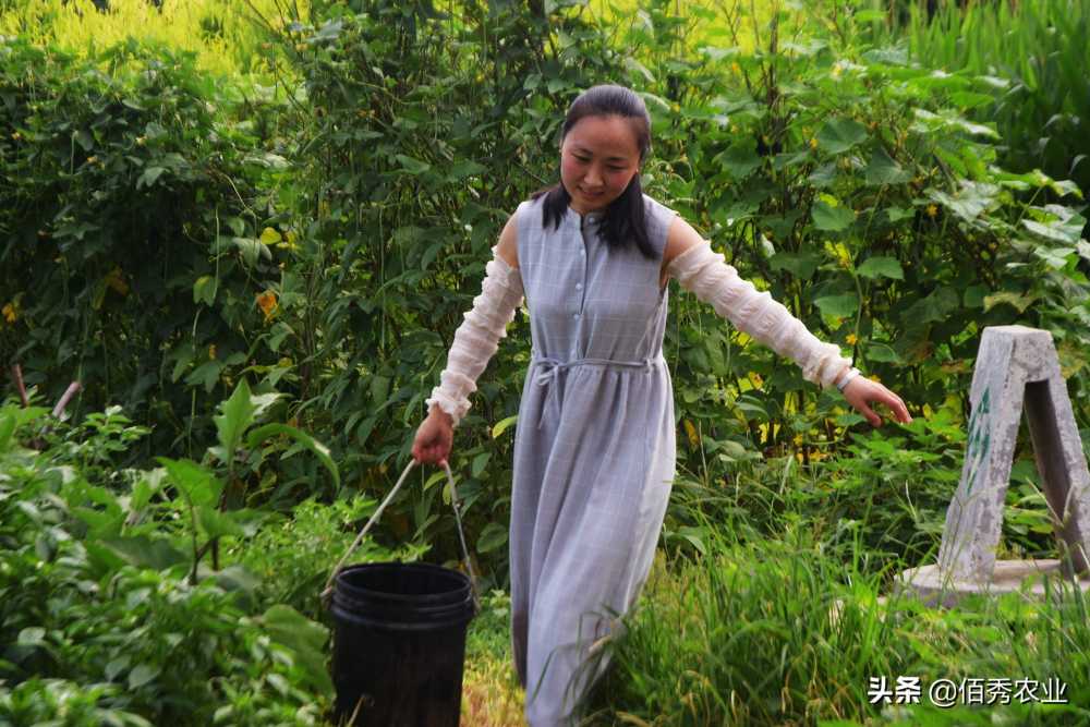 羡慕，上市农牧公司新年“晒”福利，员工生三胎奖9万，产假翻倍