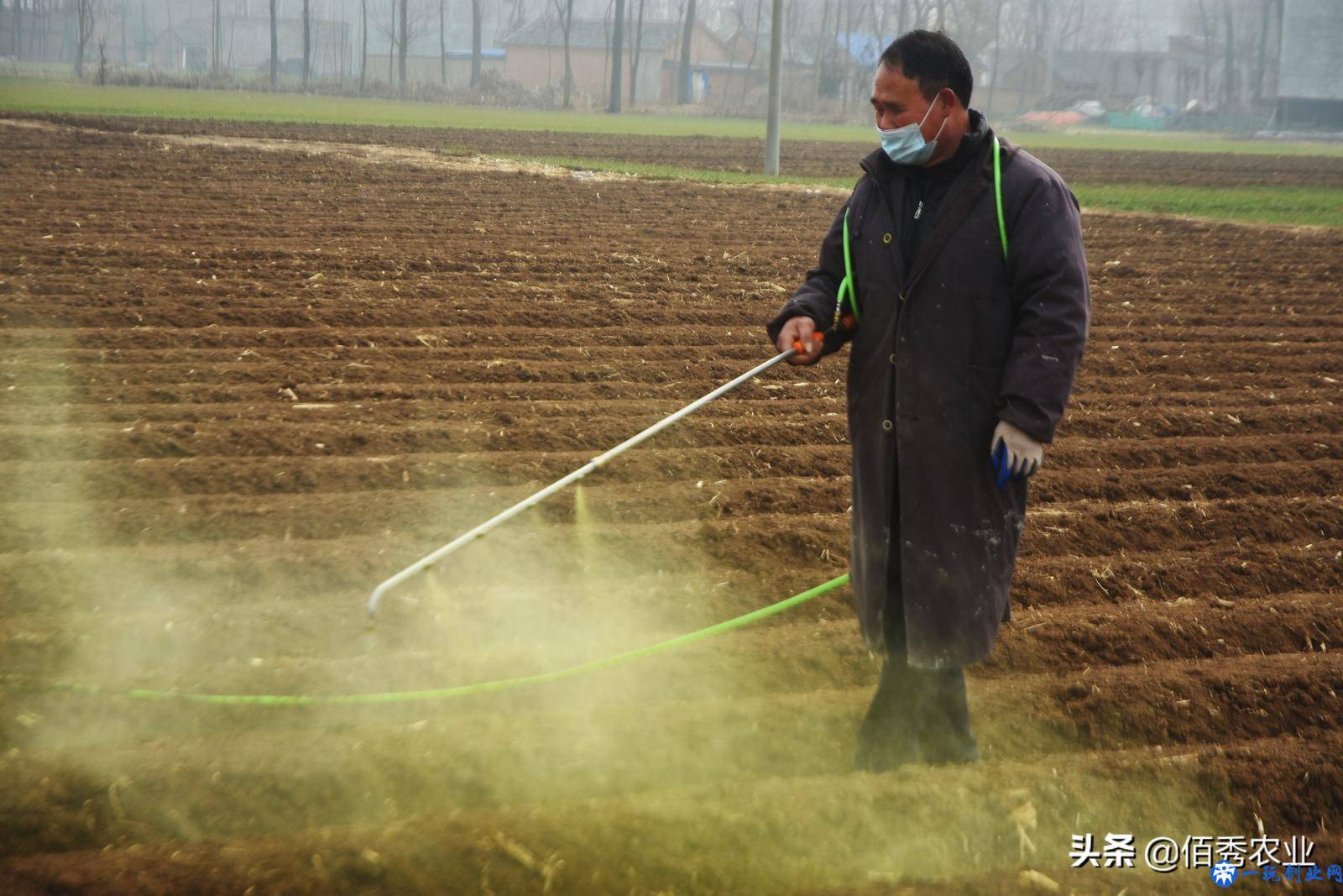 除草剂越普及，为啥杂草危害越严重？农业专家分析透彻