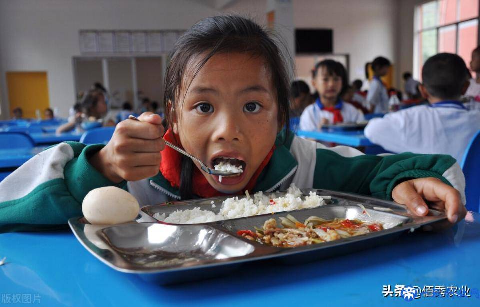 国际粮价上涨，农民积极性提高，2022年粮食种植将发生哪些变化？