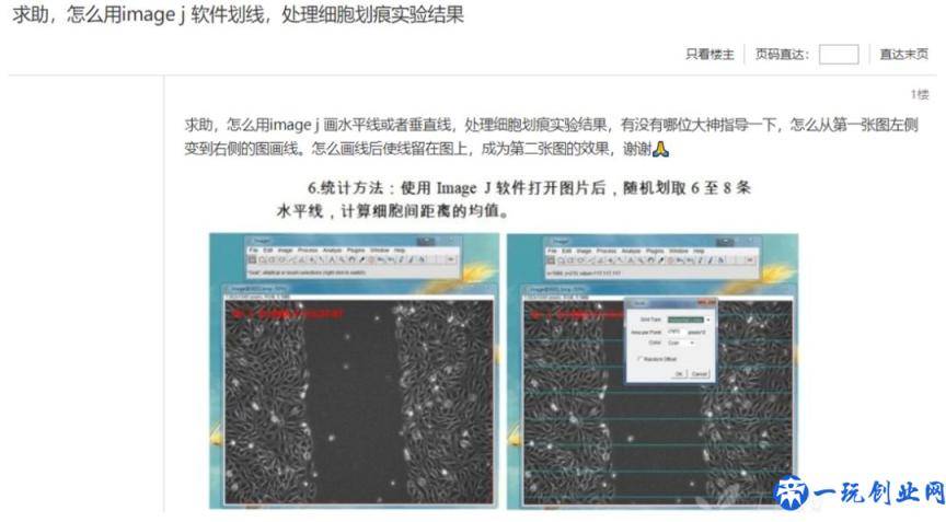 老司机带你解锁ImageJ划痕实验宽度分析