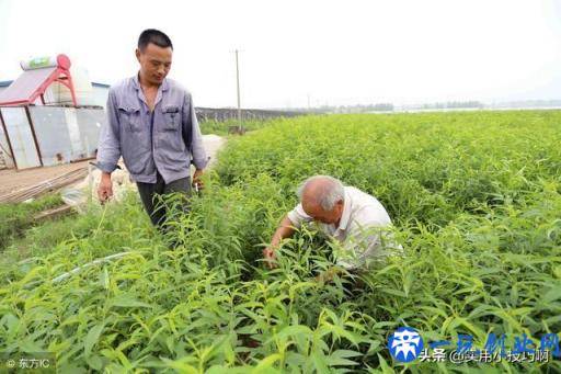 几个稳赚不赔的暴利项目，操作简单，适合创业新人白手起家