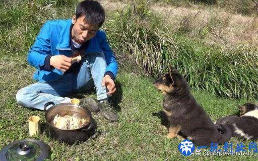 浅谈适合在农村创业的项目，希望农民朋友可以抓住机会