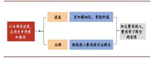 年度观点：2020白酒营销趋势十大预判