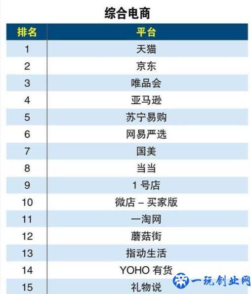 电商可不只有淘宝？这些电商平台你知道几个？