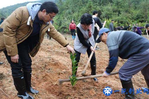 疫情让农村“封村”难回城，这6个项目农民考虑下，在家就能挣钱