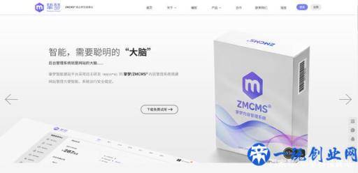 网站CMS系统是指什么