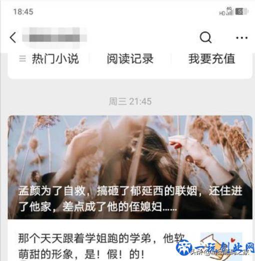 小说网站怎样实现月入万元，这么去操作就对了