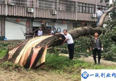 连云港遭龙卷风突袭,已致1死20伤是怎么回事，关于连云港龙卷风最新消息的新消息