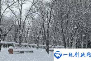 2022年武汉11月会有雪吗(武汉几月份才能见到雪)