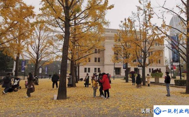 上海有什么好玩的地方（哪些旅游景点值得玩）