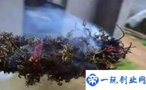 搬家要用艾草熏屋子吗(怎么用艾草熏屋子吗)