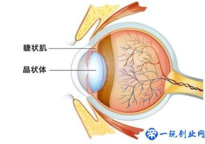 lcd屏和oled屏的优缺点(lcd屏和amoled屏幕优缺点)