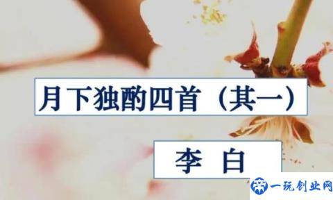 花间一壶酒下一句是什么