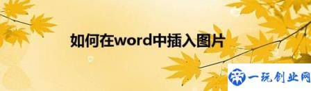 如何在word中插入图片