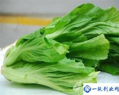 营养又美味的橄榄菜，孕妇可以吃吗？