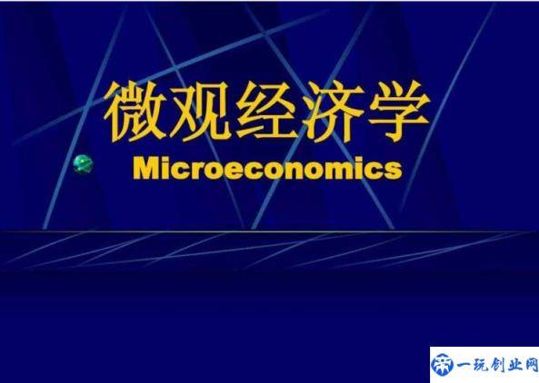 需求价格弹性名词解释西方经济学(微观经济学名词解释汇总重点)