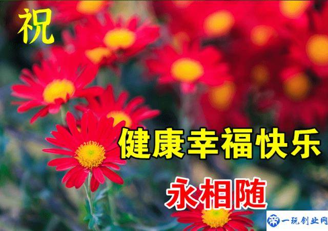 表达美好祝愿的短句(祝福的话简短唯美)