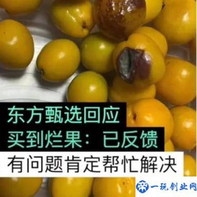 新东方回应桃子霉烂长毛：已退款未来大动作