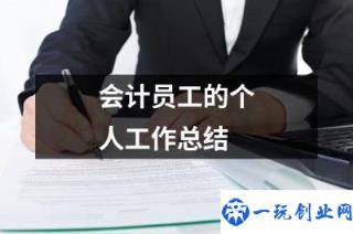 会计的个人工作情况总结(会计员工的个人工作总结)