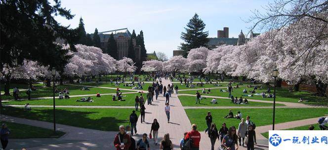 西雅图大学综合排名
