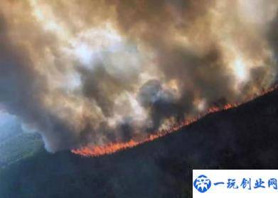 巴西热带雨林火灾原因(热带雨林发生了几次火灾)