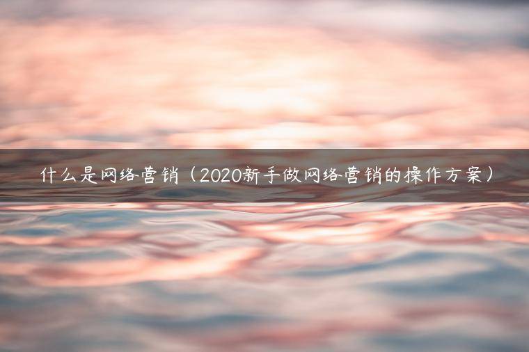 什么是网络营销（2020新手做网络营销的操作方案）