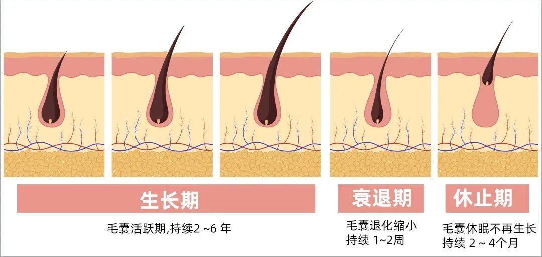 防脱生发产品到底有没有用（生发素哪个牌子好）