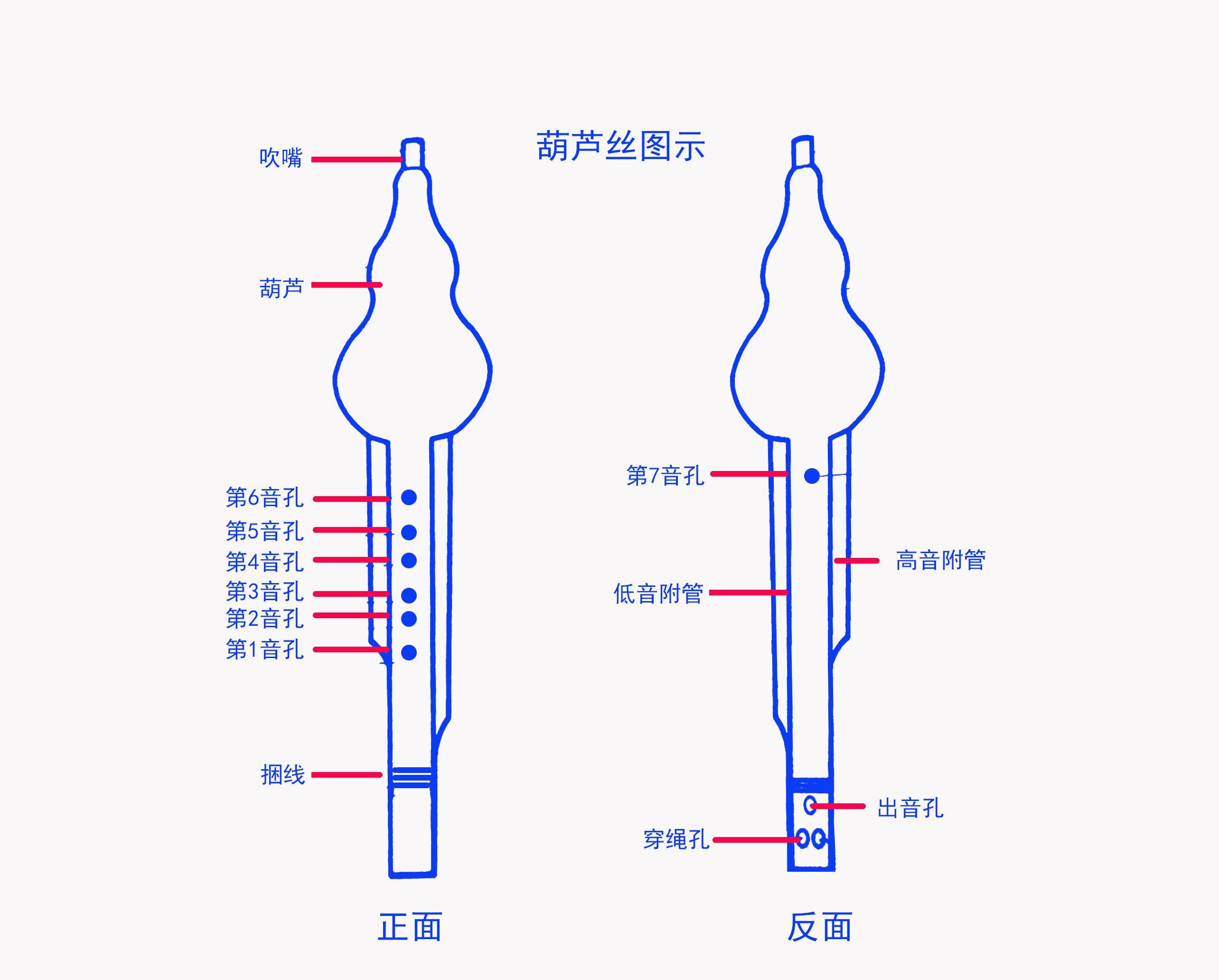 葫芦丝教学入门指法（从零起步学葫芦丝指法）