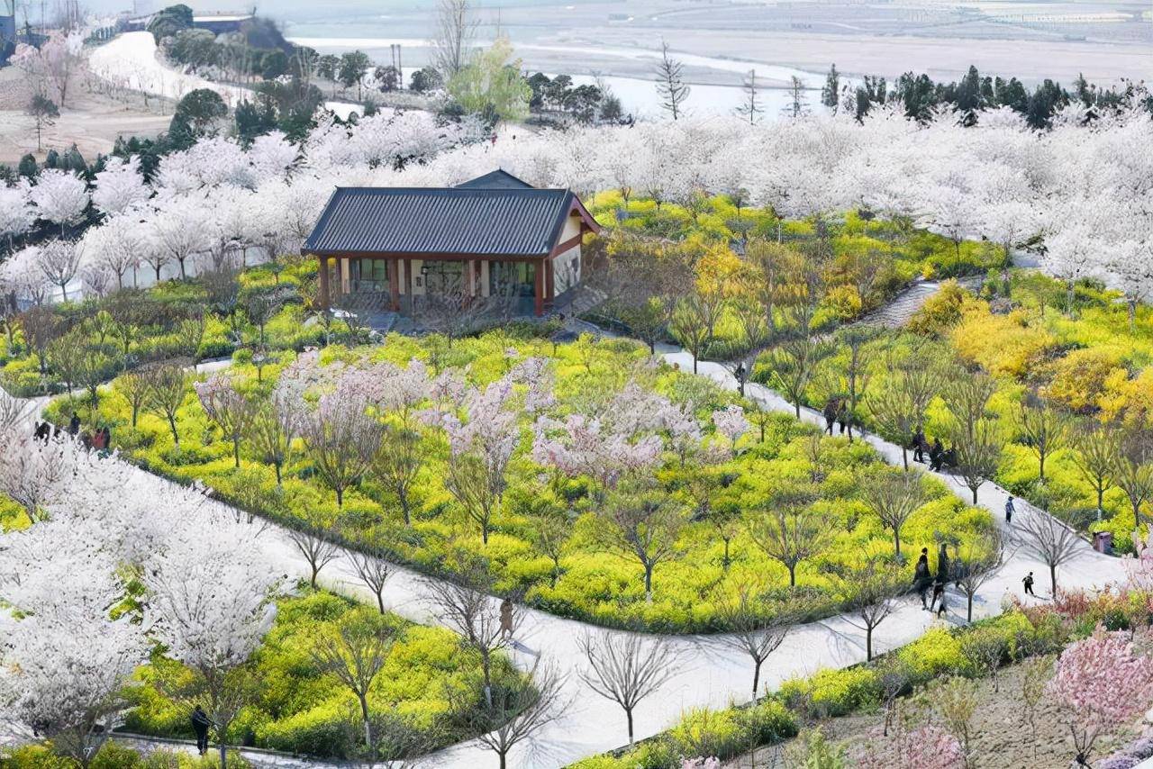 郑州十大免费旅游景点（郑州最适合一日游的免费景点）