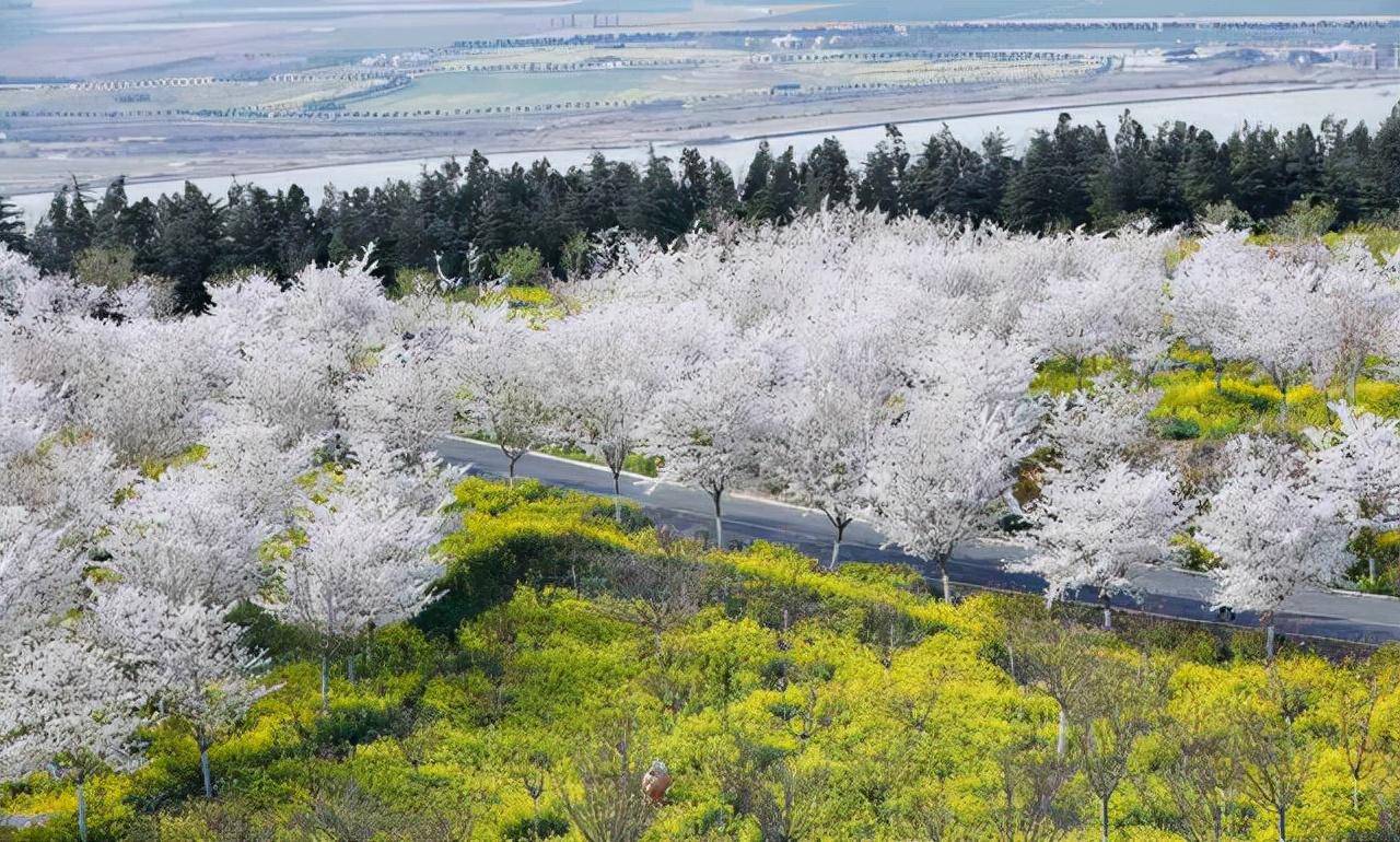 郑州十大免费旅游景点（郑州最适合一日游的免费景点）