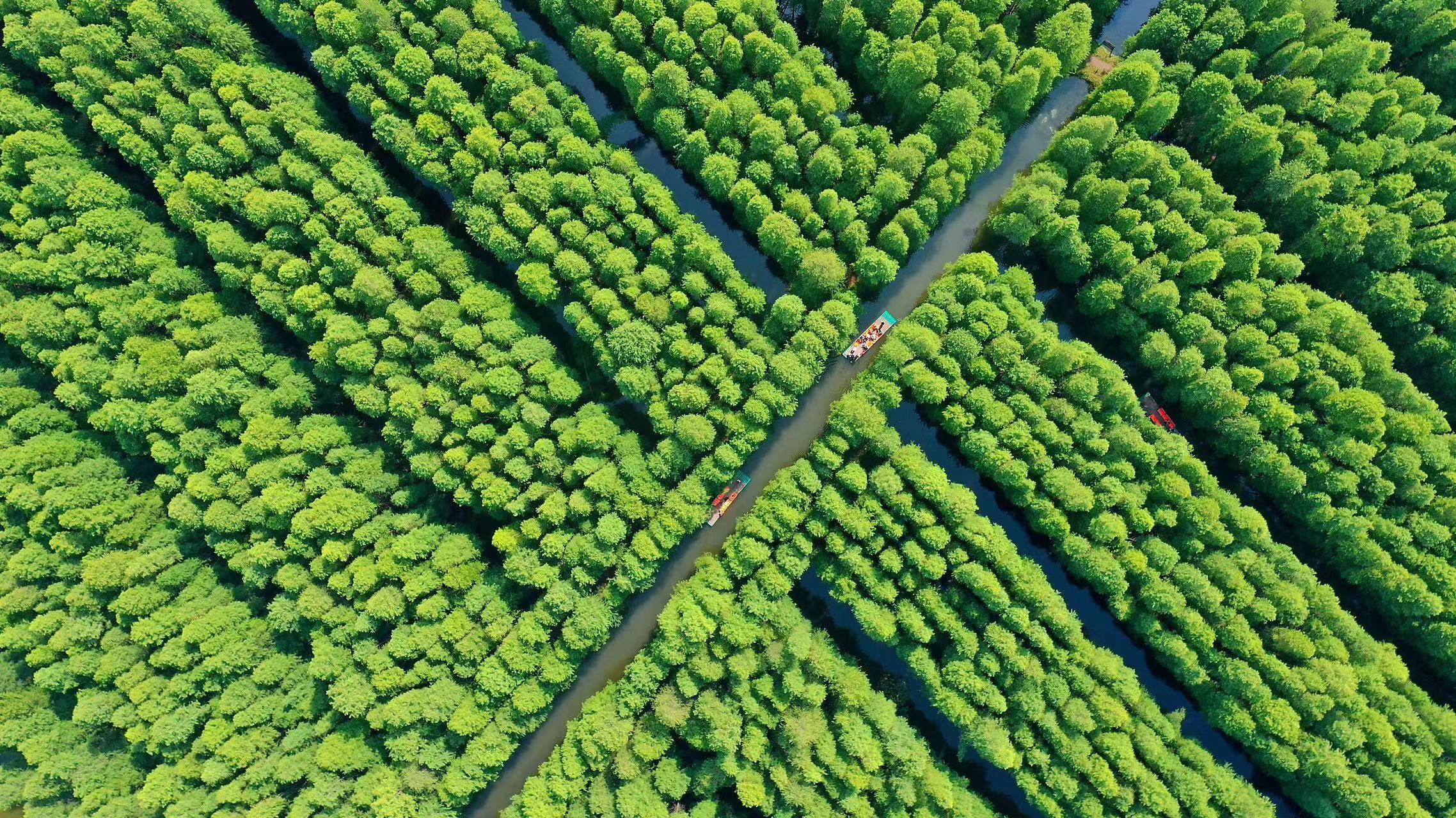 江苏旅游景点大全景点排名（江苏旅游景点攻略）