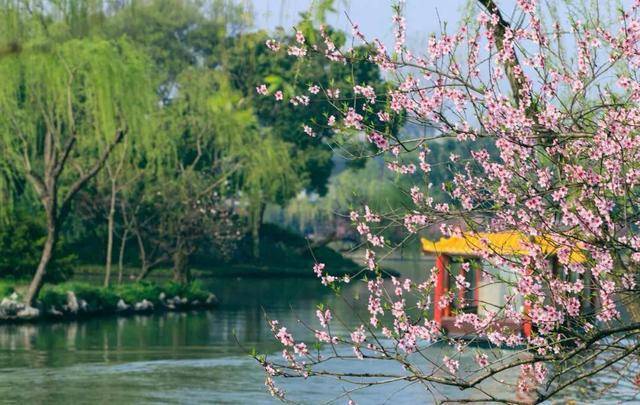 南方旅游城市推荐(南方最值得去的旅游城市)