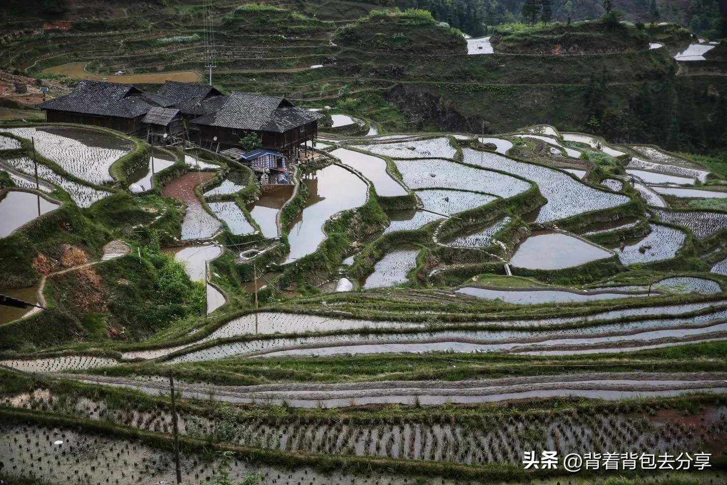 贵州旅游十大景点排名(贵州自驾游最美的10个地方推荐)