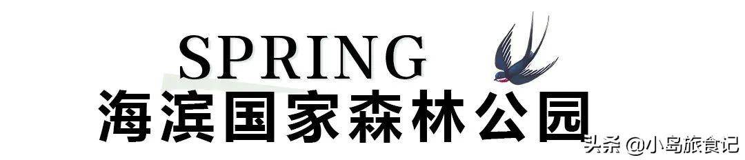 秦皇岛旅游攻略景点推荐(秦皇岛旅游景点有哪些值得去的地方)