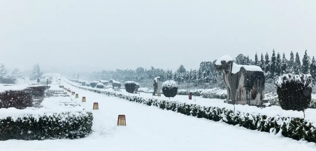 渭南旅游景点大全(陕西渭南景区有哪些景点)