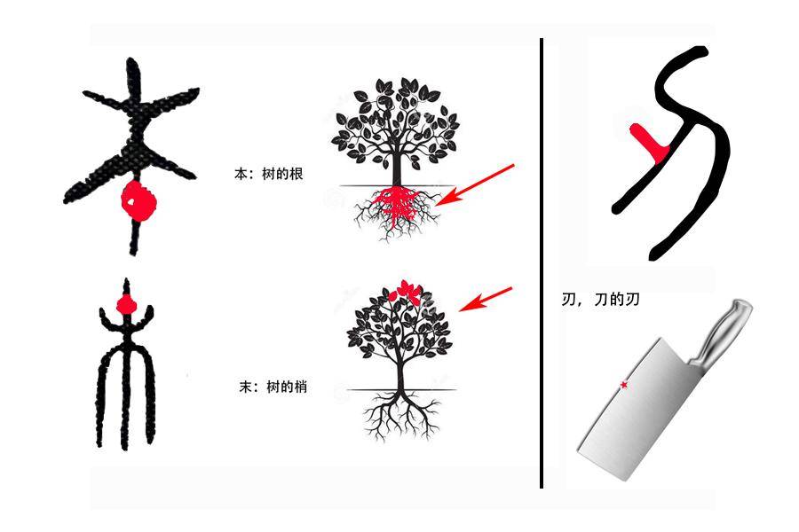 六书指的是什么书(六书名词解释并举例)