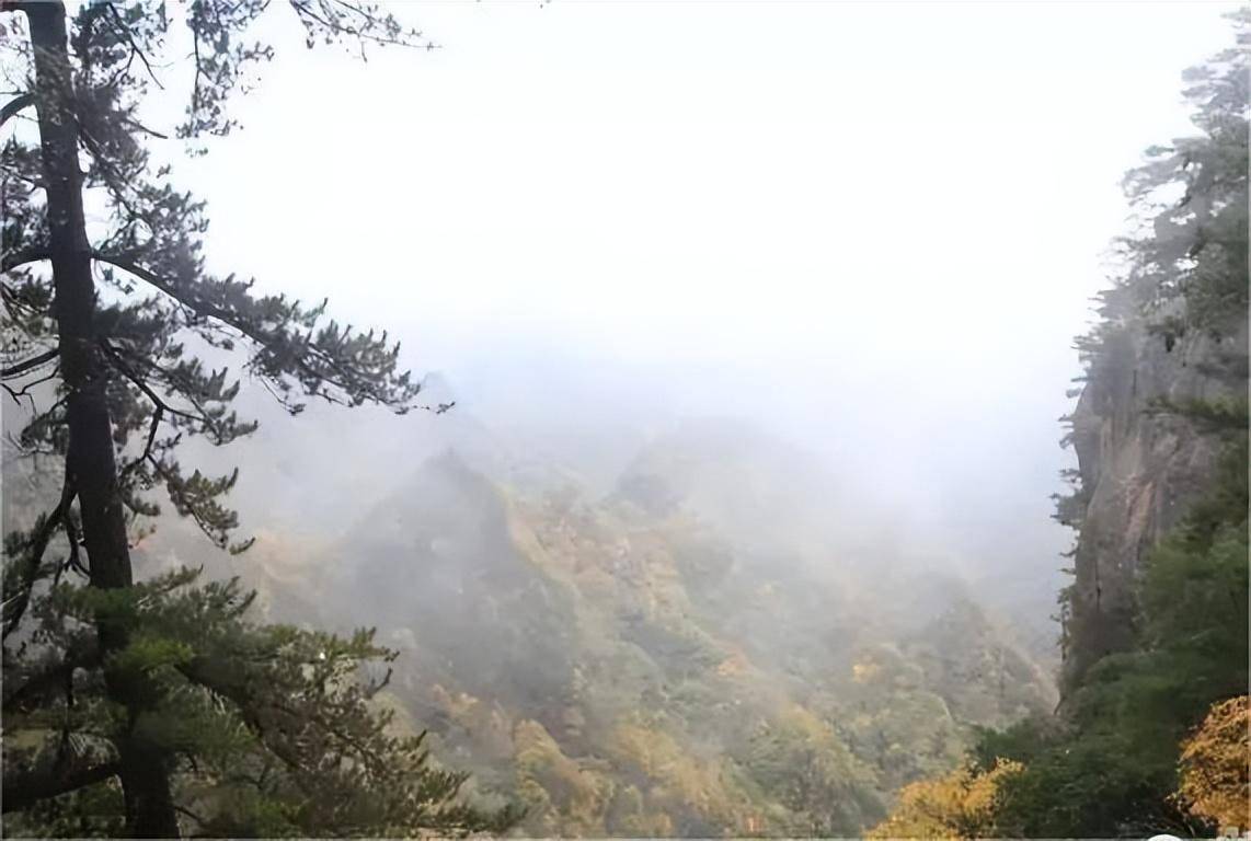 天水旅游景点大全(天水秋季最美的地方)