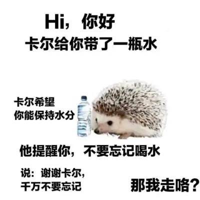 卡尔刺猬表情包(小刺猬表情包gif动图)