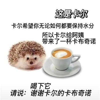 卡尔刺猬表情包(小刺猬表情包gif动图)