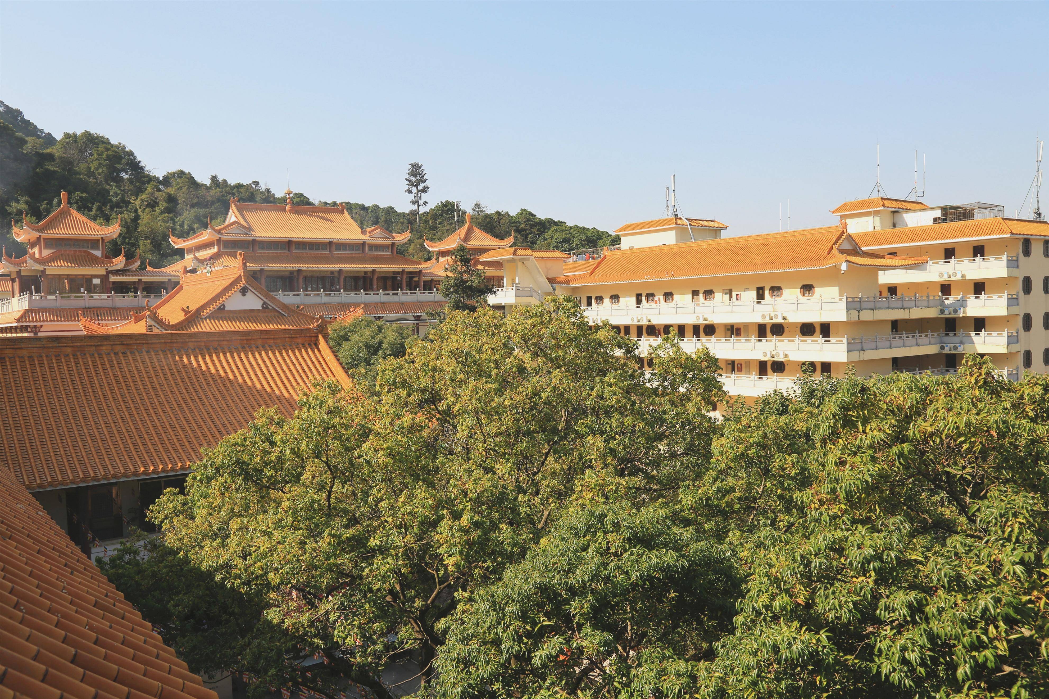 深圳寺庙香火最旺的地方(深圳求财运最灵的寺庙)