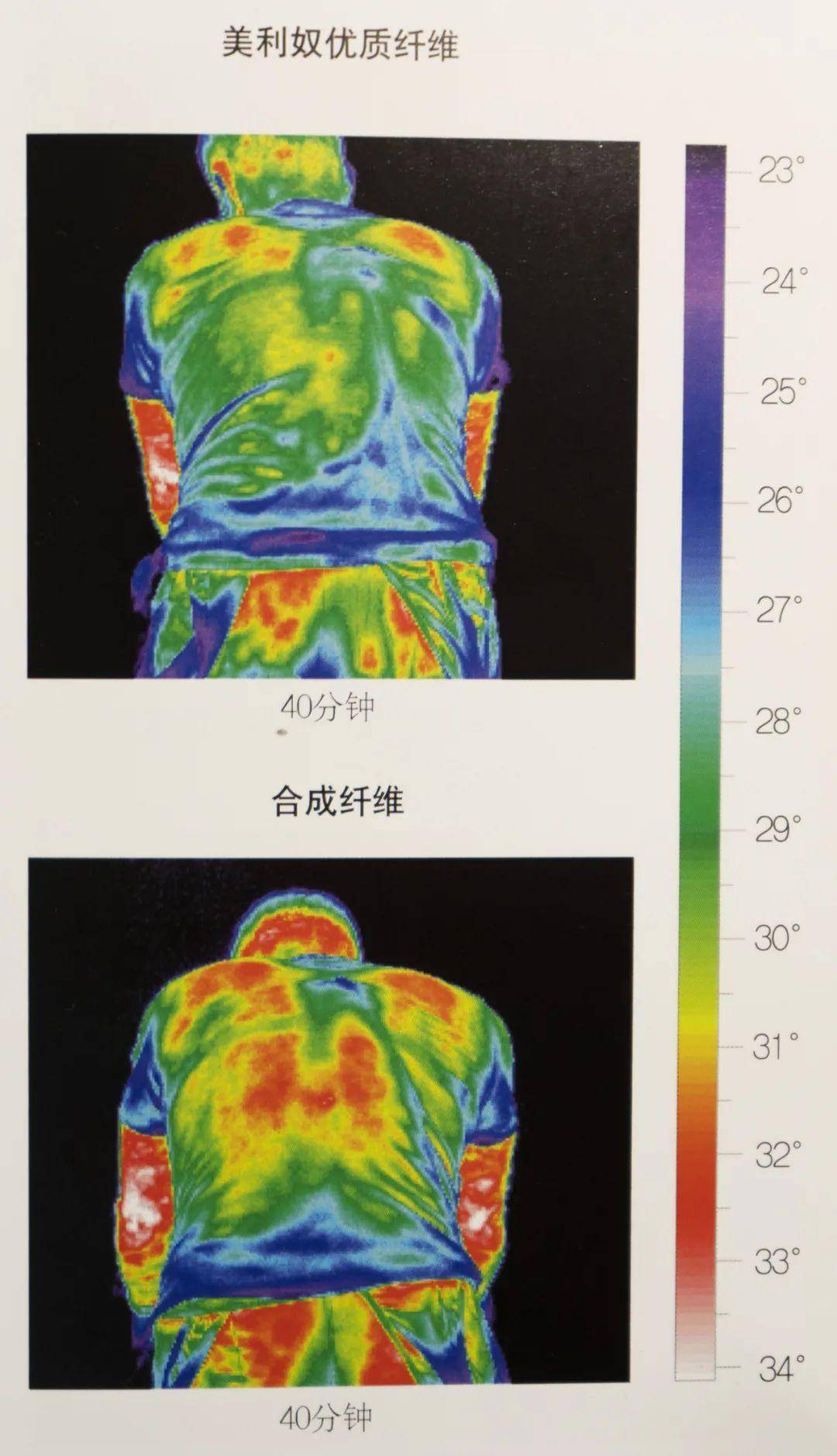 羊毛和澳毛哪个更贵(羊毛为何深受人类喜爱)