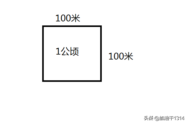 平米和平方米一样吗(小学常见的单位换算及技巧)