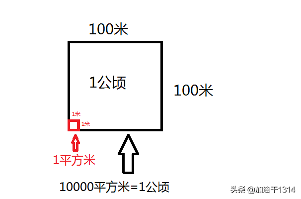 平米和平方米一样吗(小学常见的单位换算及技巧)