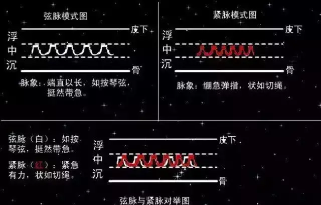 脉学之宗的医师是谁(把脉入门必背口诀)